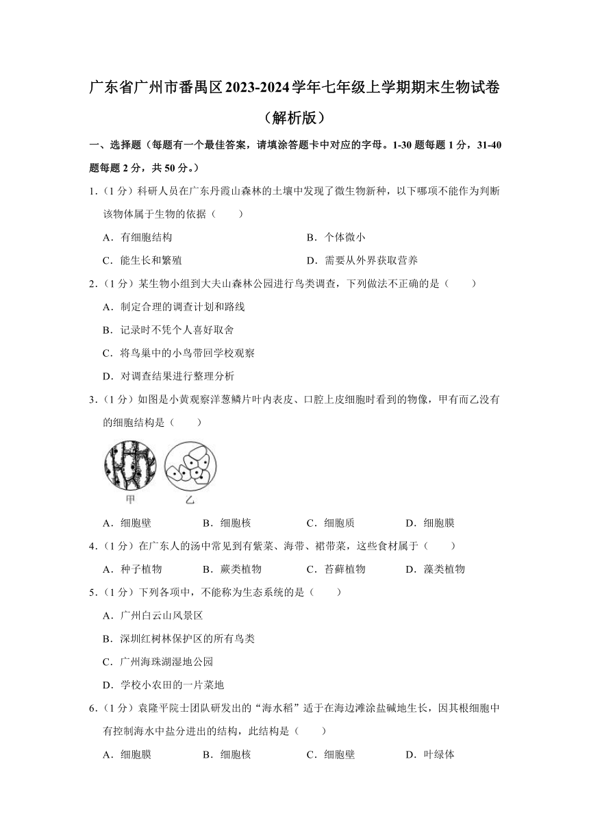 广东省广州市番禺区2023-2024学年七年级上学期期末 生物试卷（含解析）