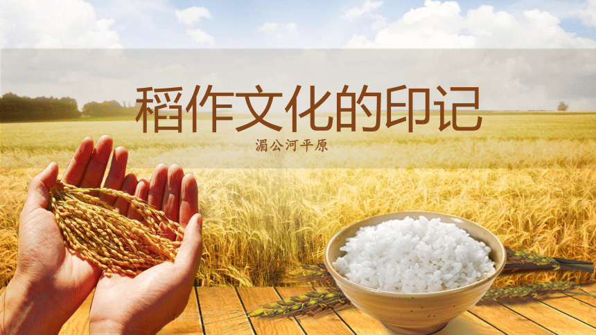 3.1.1稻作文化的印记 优质课件(共21张PPT)