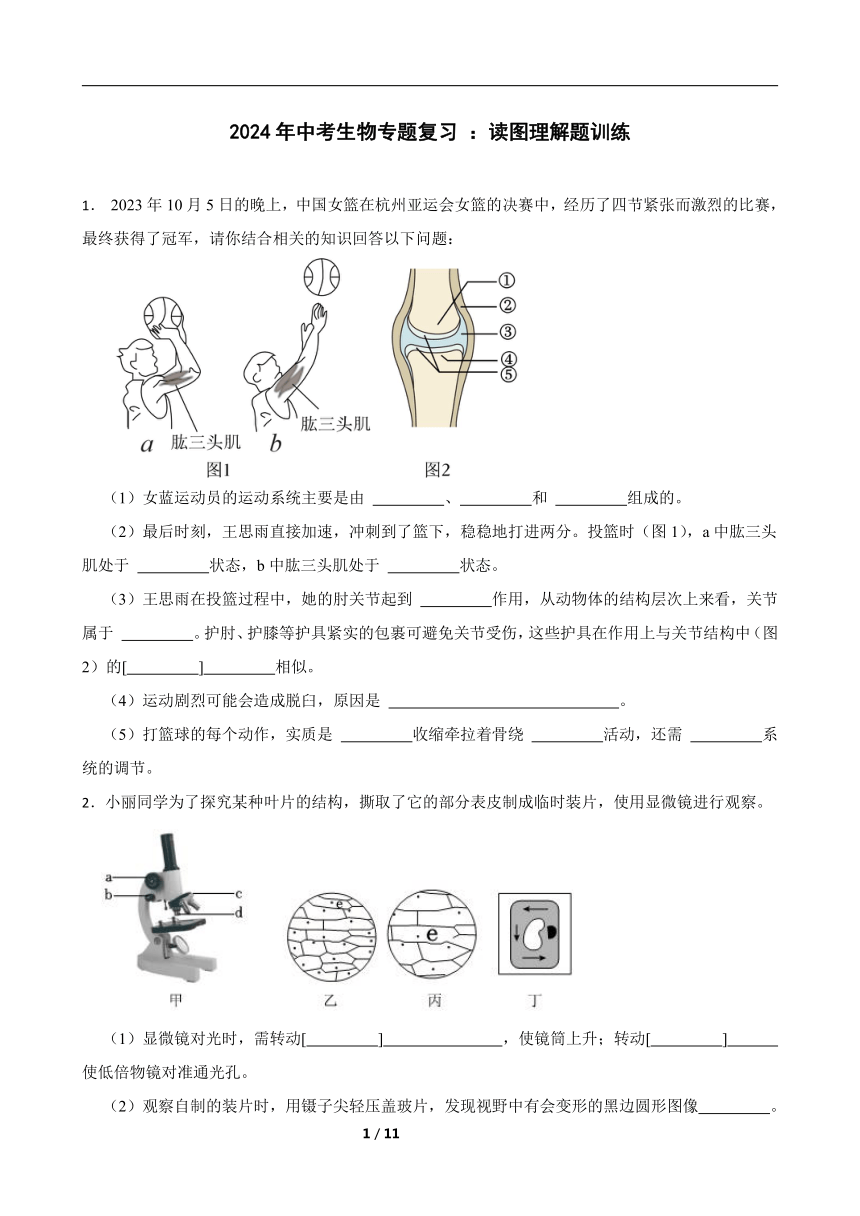 2024年中考生物专题复习 ：读图理解题训练（含答案）