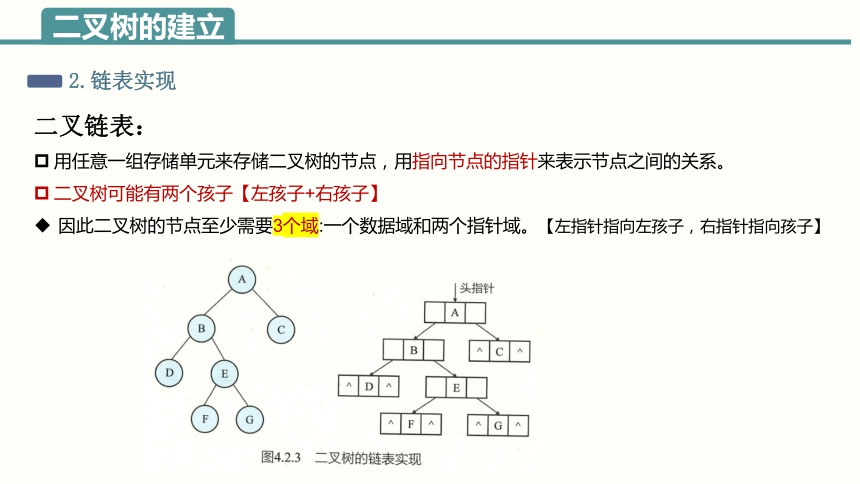 4.2 二叉树操作 4.3抽象数据类型 课件(共37张PPT)2023—2024学年浙教版（2019）高中信息技术选修1