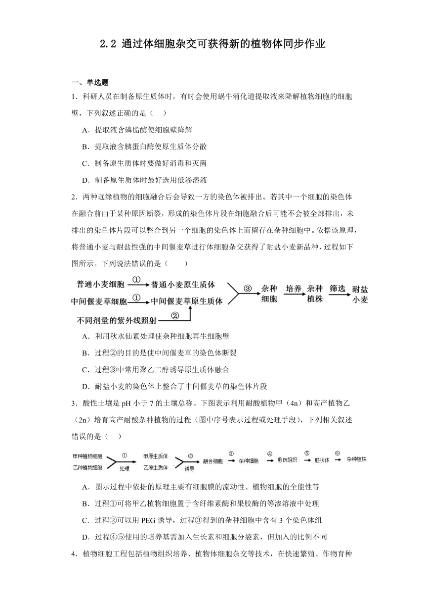 2.2通过体细胞杂交可获得新的植物体同步作业(含解析）2023-2024学年高二下学期生物浙科版选择性必修3