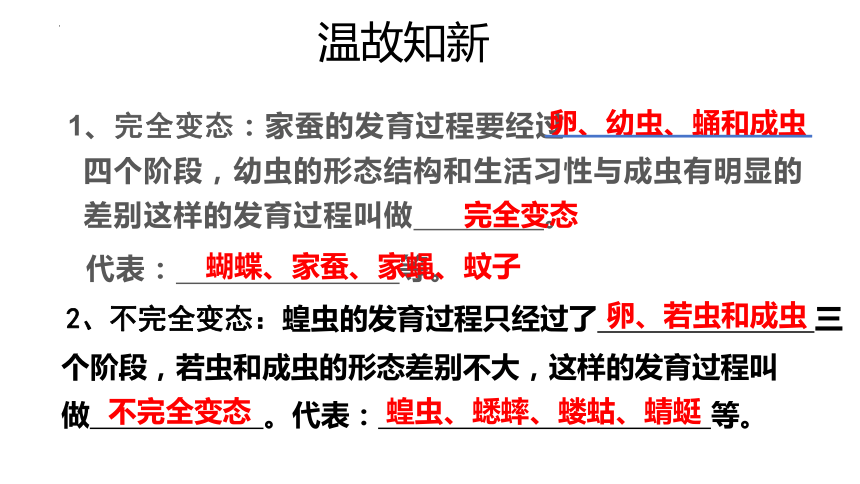 7.1.3两栖动物的生殖和发育课件(共24张PPT) 人教版生物八年级下册