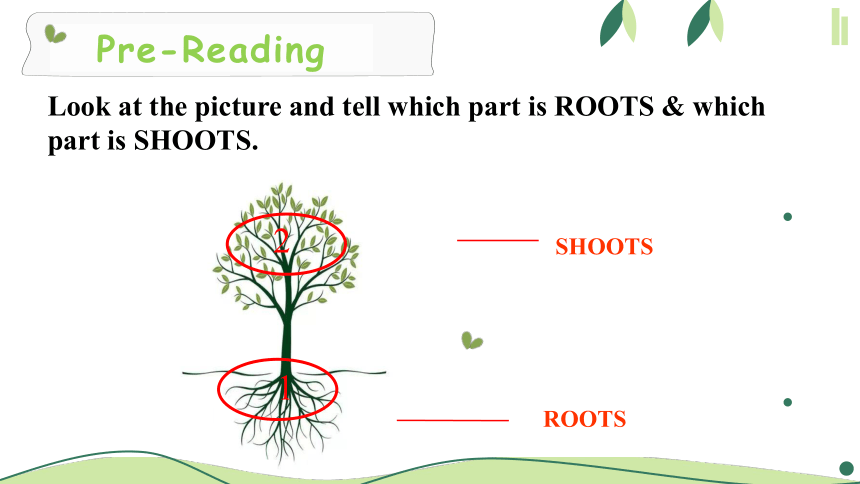 北师大版（2019）必修 第三册Unit 8 Green living  Lesson 1 Roots and Shoots课件(共16张PPT)