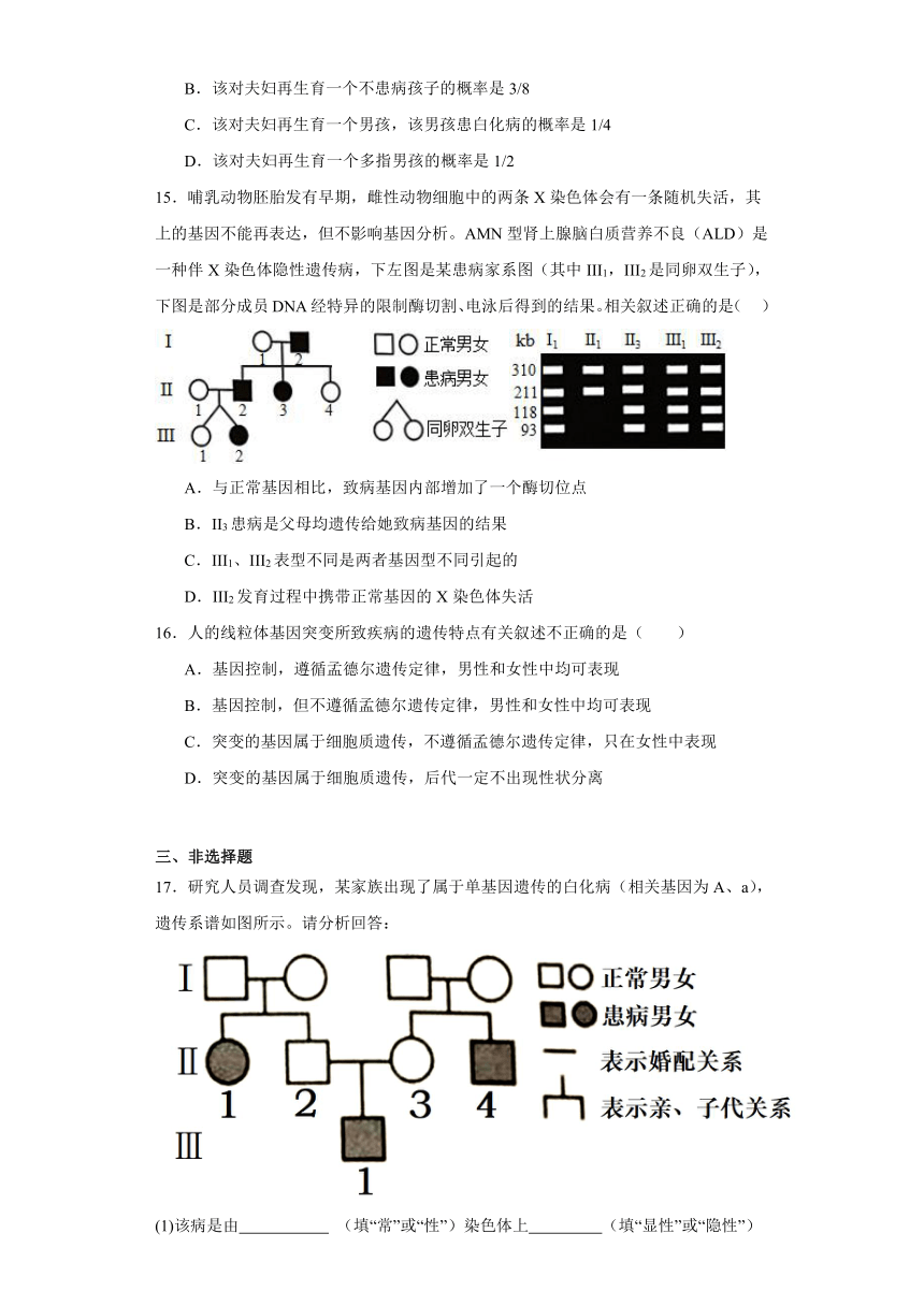 3.3关注人类遗传病（练习）-2023-2024学年高中生物（苏教版必修2）（含解析）