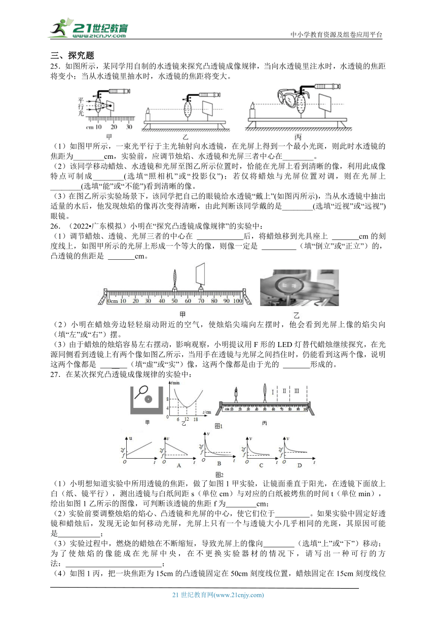 【新思维】2024中考科学复习 专题8 透镜与视力缺陷（含答案）