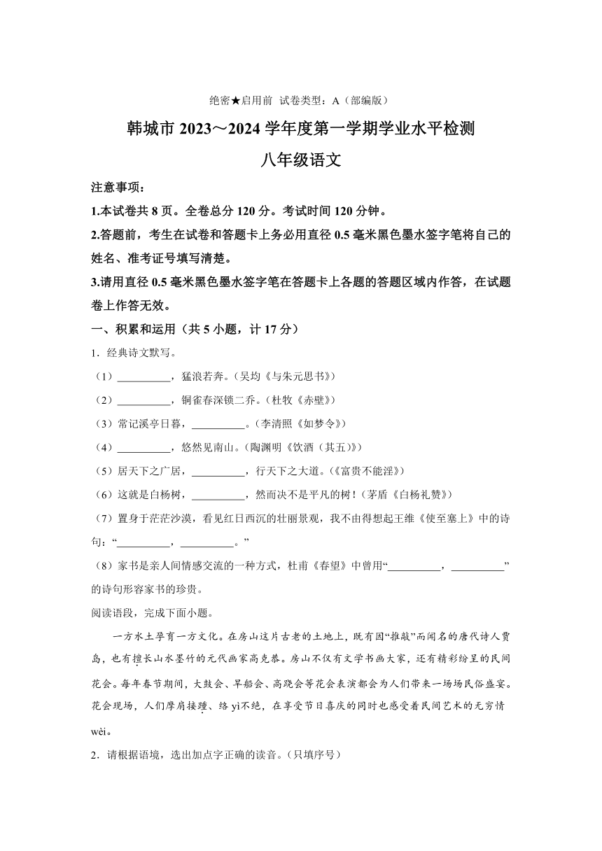 陕西省渭南市韩城市2023-2024学年八年级上学期期末语文试题（含解析）