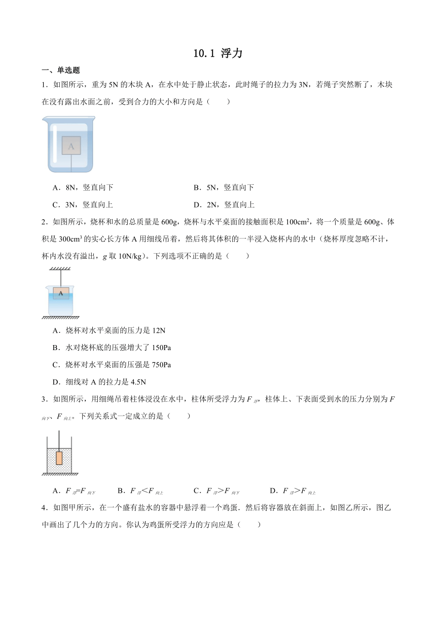 10.1 浮力 课后练习(含解析) 2023-2024学年人教版物理八年级下册