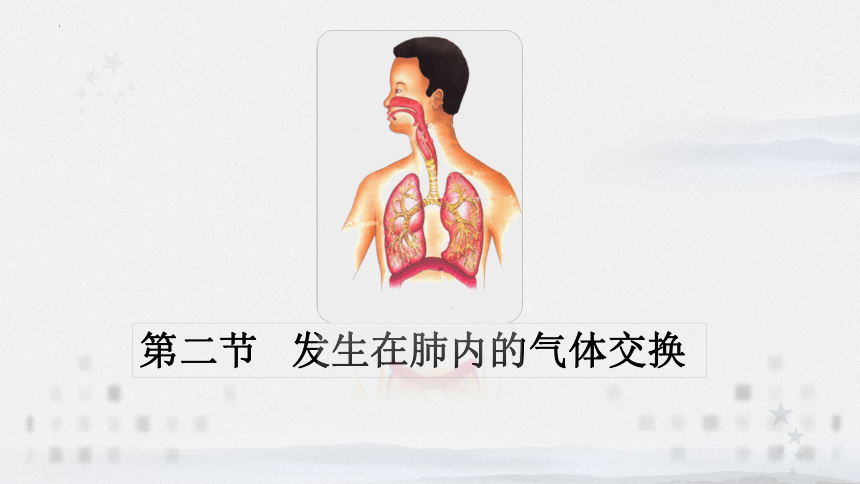 4.3.2发生在肺内的气体交换课件 (共28张PPT)人教版生物七年级下册