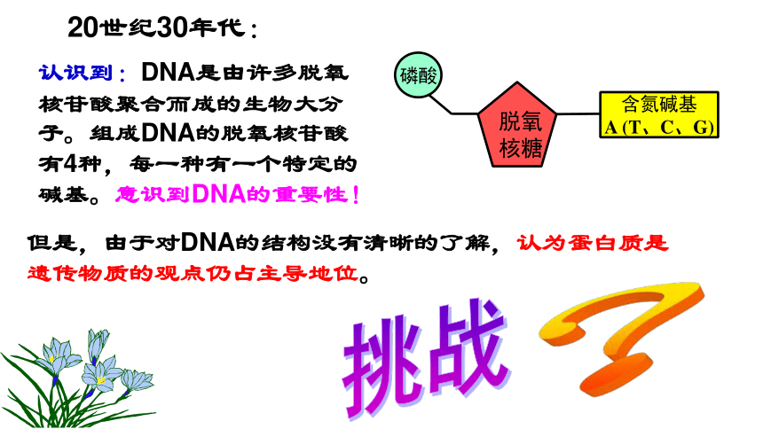 3.1DNA是主要的遗传物质课件(共39张PPT)-人教版必修二