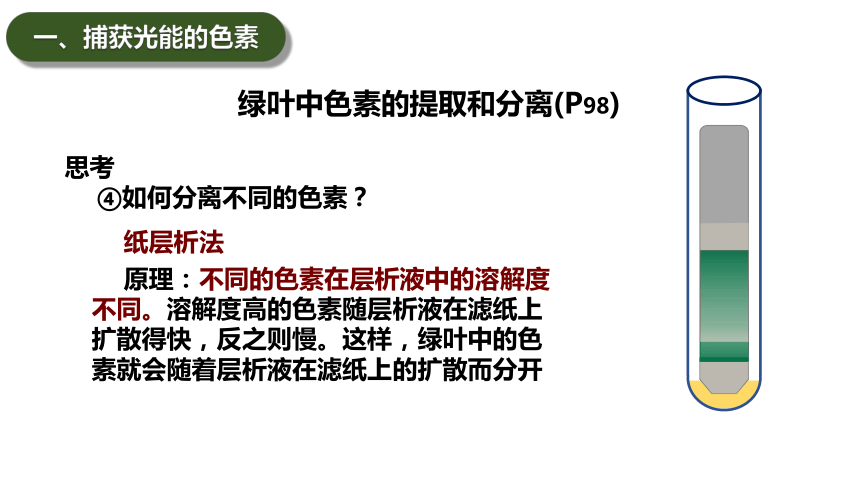 5.4光合作用与能量转化课件（共62页ppt1份视频）-人教版（2019）必修1