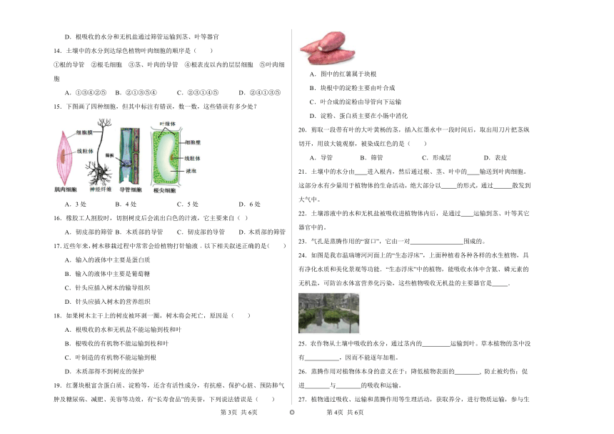 5.1植物体内的物质运输同步练习（含答案）北京版初中生物七年级下册