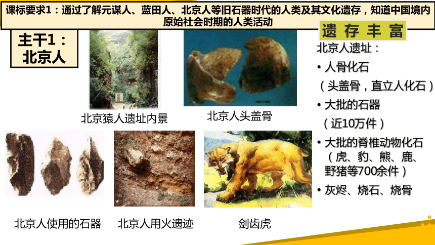 第一单元 史前时期：中国境内早期人类与文明的起源   单元复习课件（26张PPT）