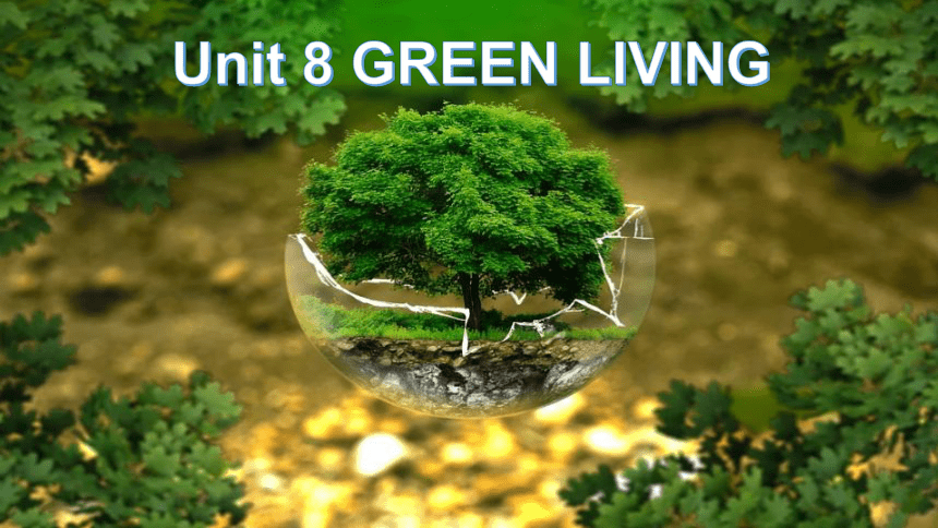 北师大版（2019）必修 第三册Unit 8 Green living Lesson 1 Roots and Shoots Reading 课件(共23张PPT)