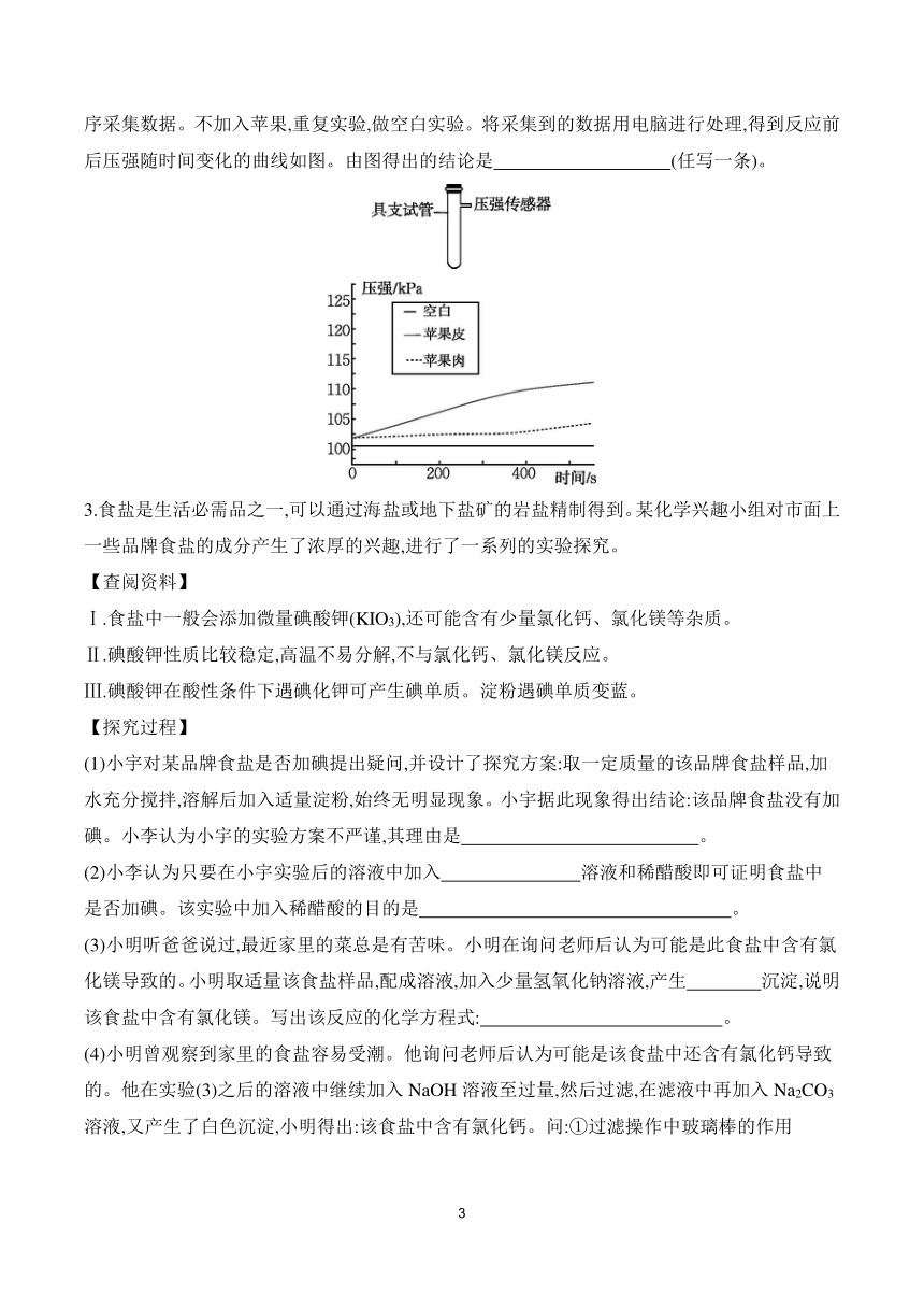 2024年中考化学总复习 特色专题专训 题型五　实验探究题 (含解析)