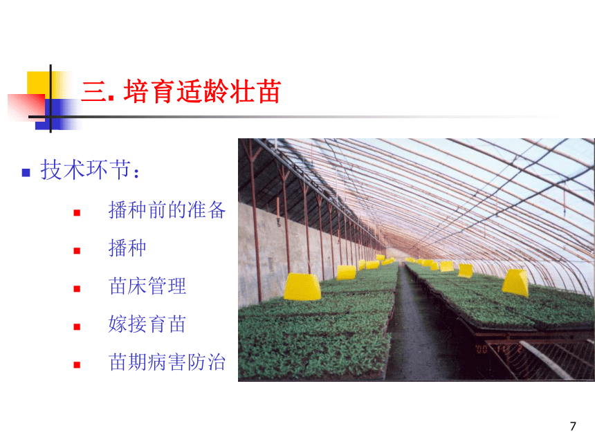 项目3.1 瓜类蔬菜生产--黄瓜-2 课件(共68张PPT)- 《蔬菜生产技术》同步教学（机械工业版）