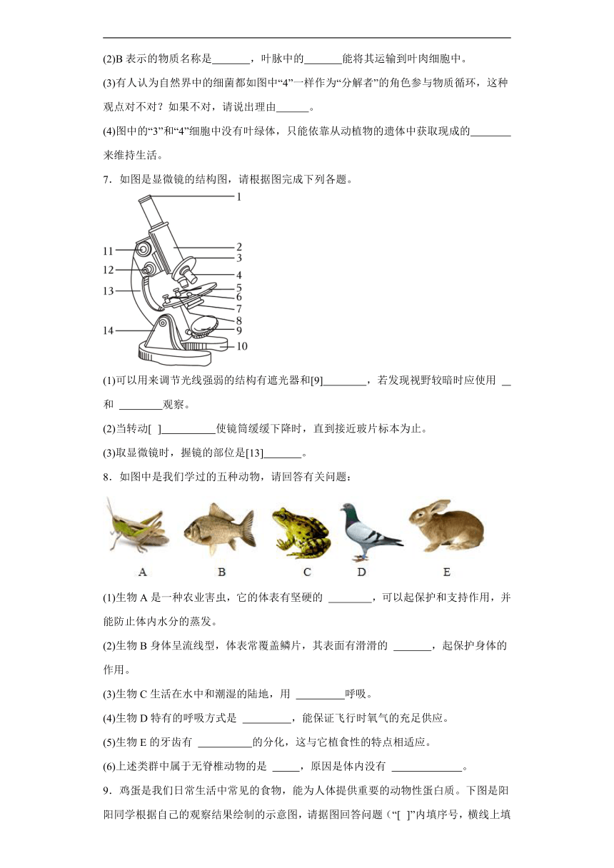 2024年中考生物专题复习：综合题（含答案）