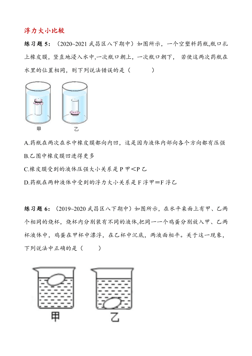 湖北省武汉市武昌区2023~2024学年八年级下册期中复习——浮力（含答案）