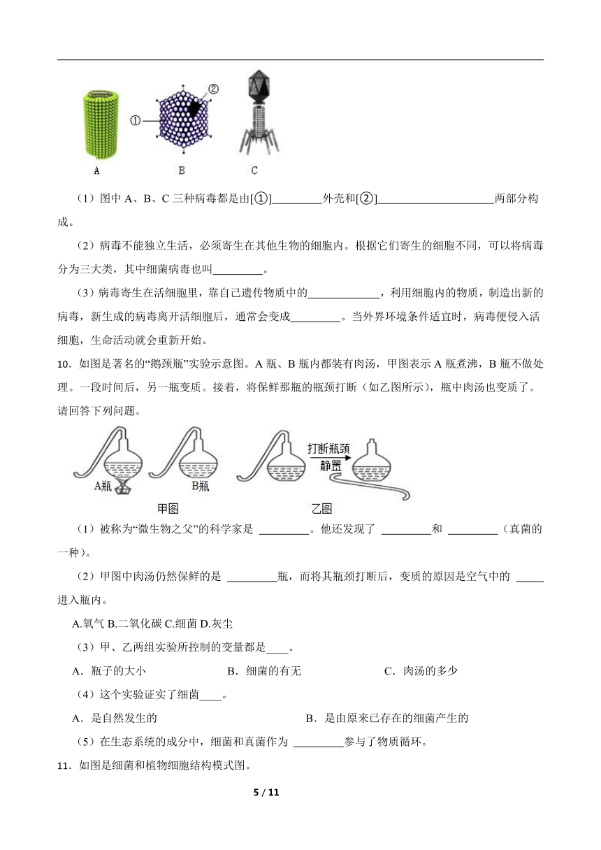 2024年生物中考读图理解题专题训练：生物圈中的微生物（含答案）