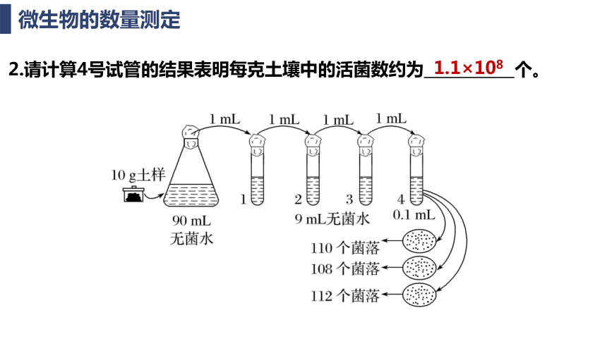 1.2.2微生物的选择培养和计数课件（共28张PPT）-人教版选择性必修3