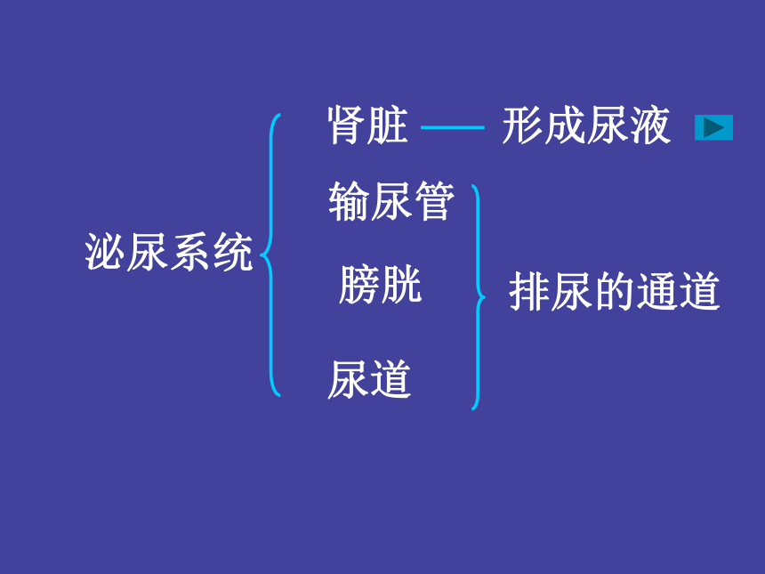 4.5 体内物质的动态平衡（3课时）（课件 72ppt）