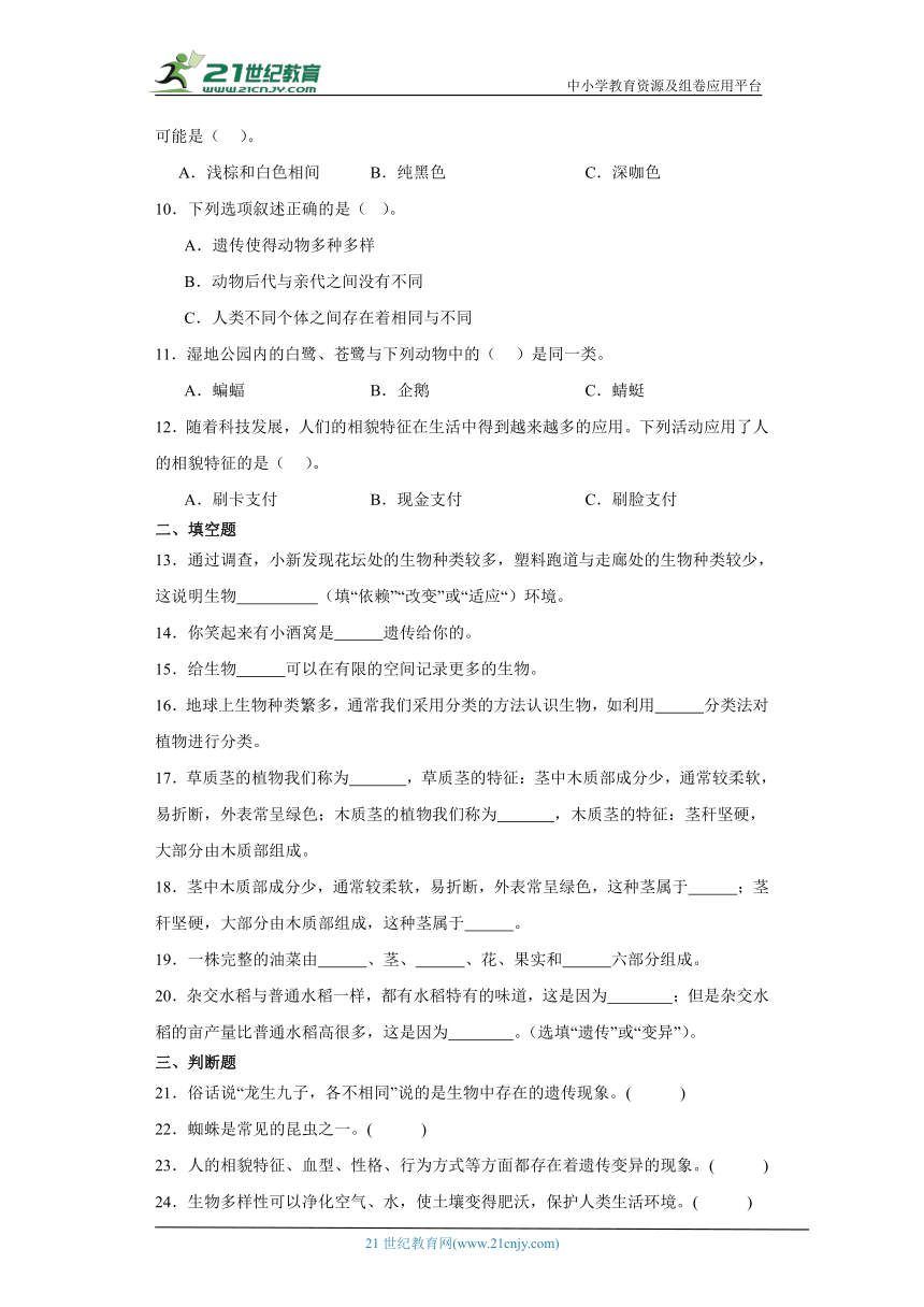 教科版六年级下册科学第二单元生物的多样性综合训练（含答案）