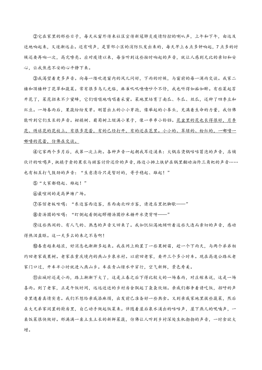 2024年中考语文记叙文阅读十三大考点分类闯关宝典语句理解与赏析(原卷版+解析版)