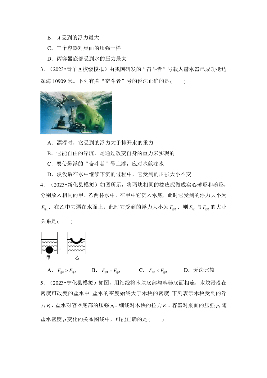 2024年中考物理母题解密专题10 浮力考点精练（含答案）