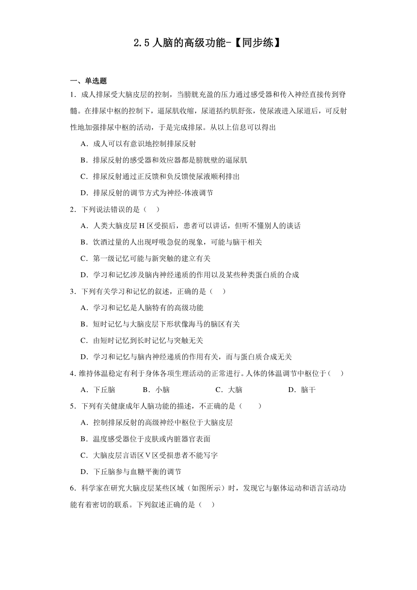 2.5人脑的高级功能-【同步练】2023-2024学年高二生物（人教版2019选择性必修1）（含解析）