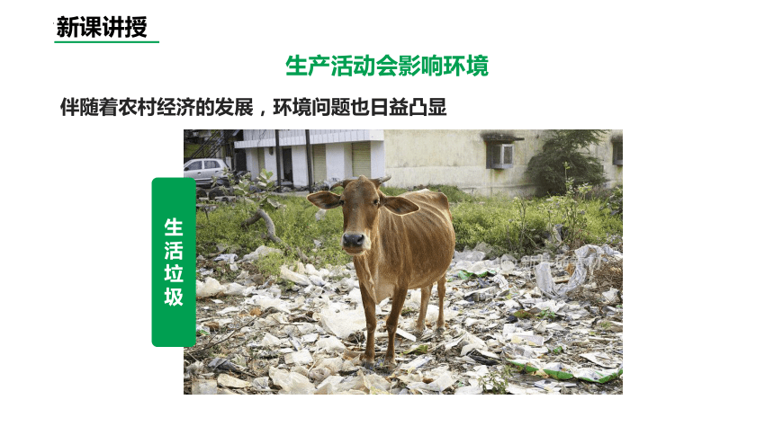 8.24.2关注农村环境课件 (共24张PPT)北师大版生物八年级下册