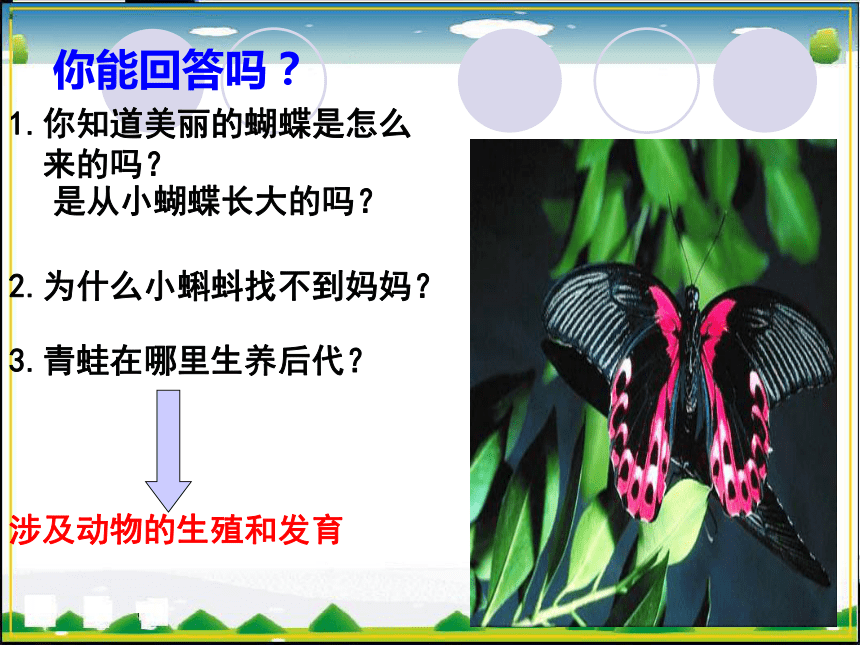 第2节 动物的生殖和发育(第1课时)课件