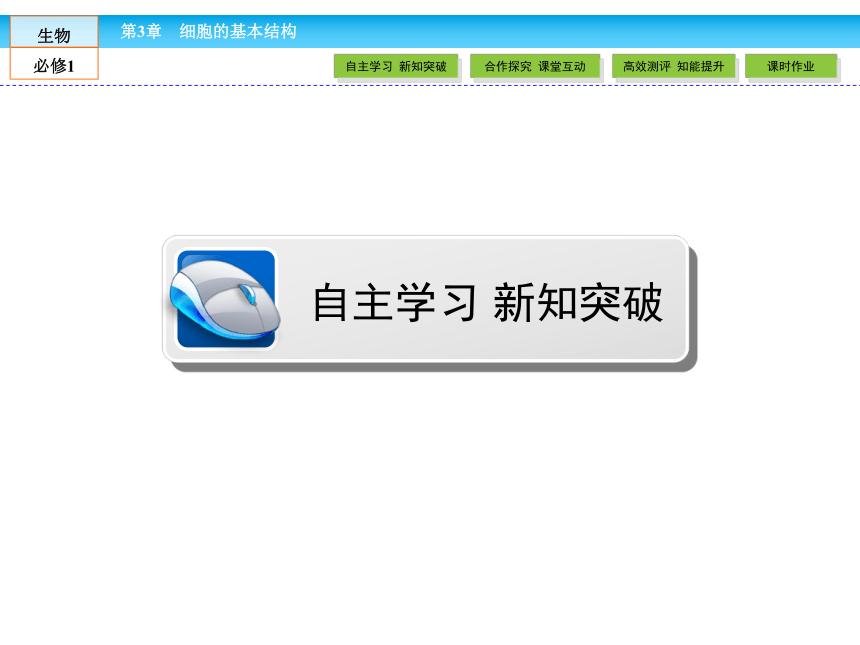 （人教版）高中生物必修一：3.2《细胞器——系统内的分工合作》课件（共 78张PPT）