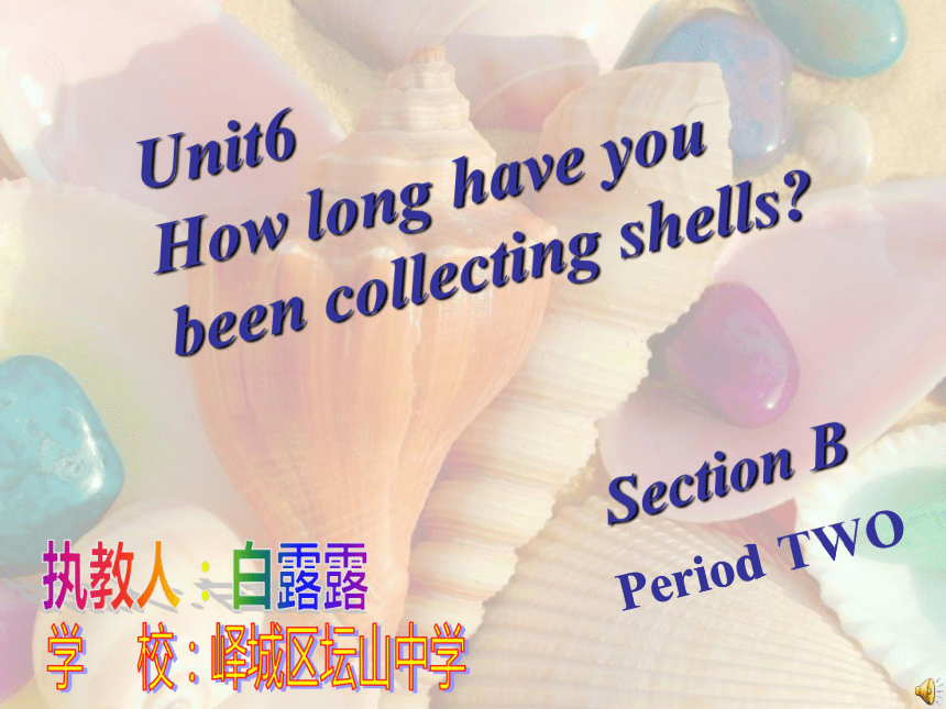Unit 6 How long have you been collecting shells?（Section B Period 2）