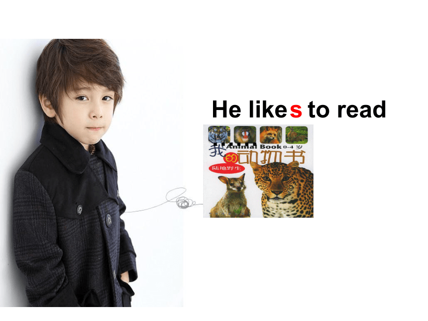 Unit 6 He likes reading picture books 课件