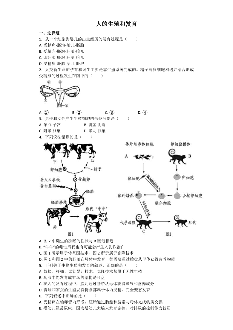 2021年中考生物一輪複習精選習題18人的生殖和發育word版含解析