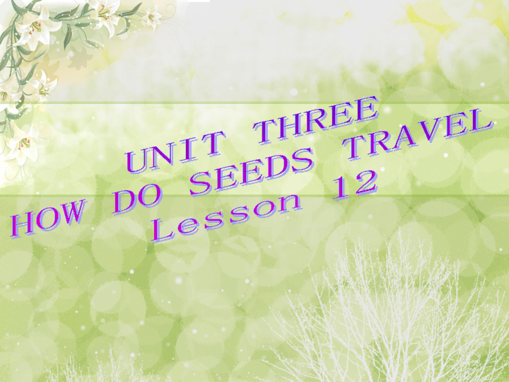 Unit 3 How do seeds travel? Lesson 12 课件 (共18张PPT)