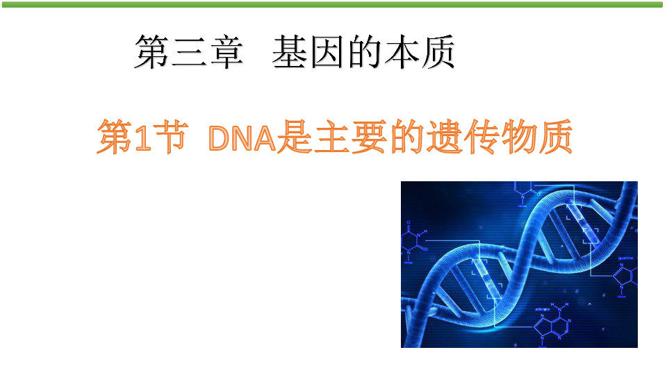 人教版高中生物必修二课件：3.1 DNA是主要的遗传物质(共24张PPT)