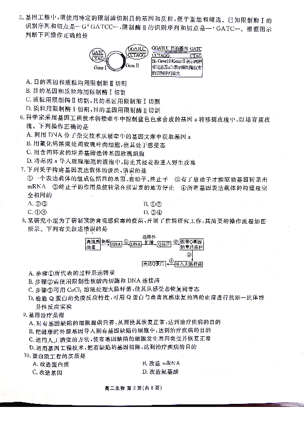 山东省淄博市高青一中2018-2019学年高二下学期期中考试生物试卷（PDF版）