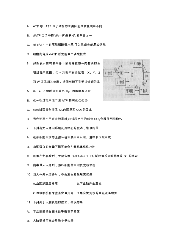 河南省洛阳市2019-2020学年高一下学期期末质检生物试卷