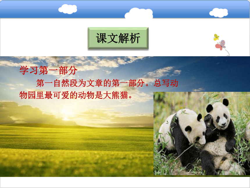 大熊猫课件