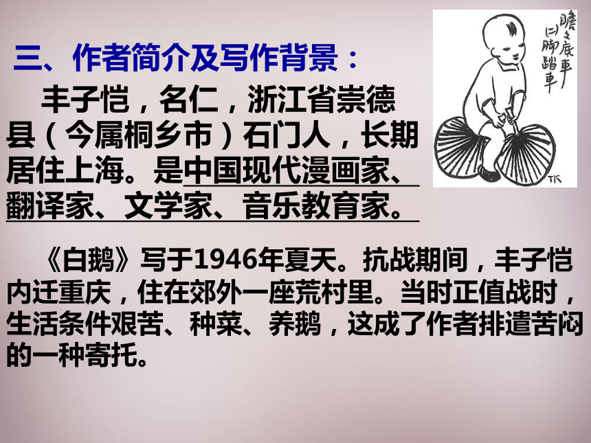 四川省盐亭县城关初级中学七年级语文下册3 白鹅课件1 语文版