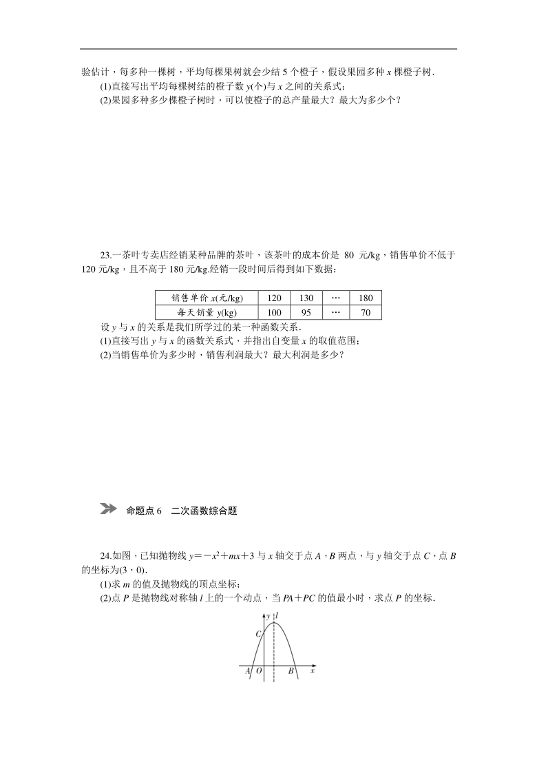 2021年中考数学二轮复习 二次函数专题（Word版 含答案）