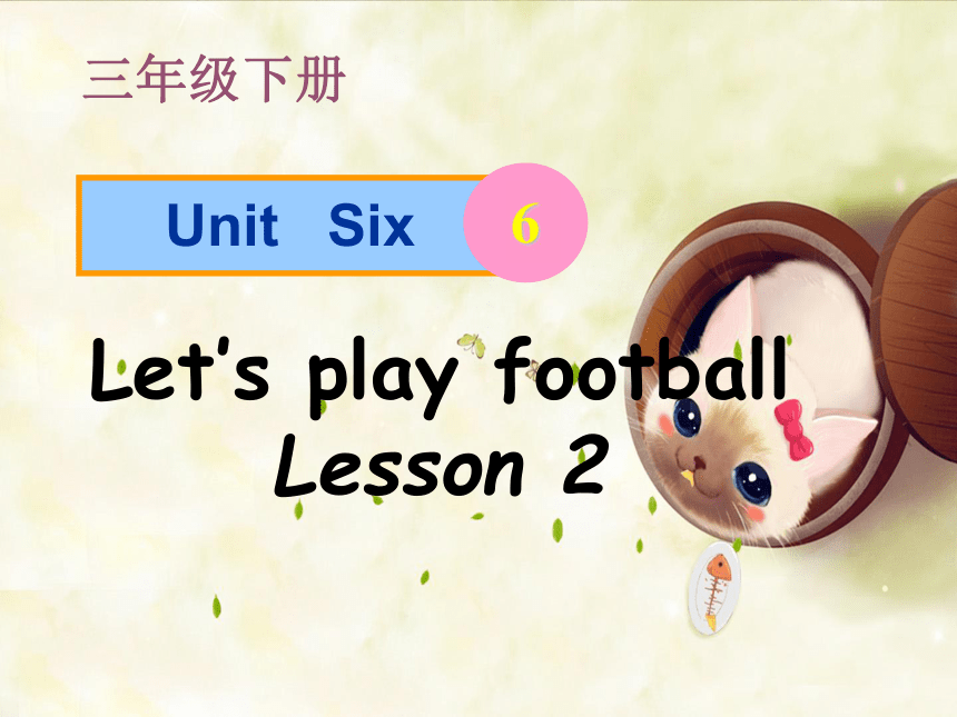 Unit 6 Let’s play football Lesson 2 课件