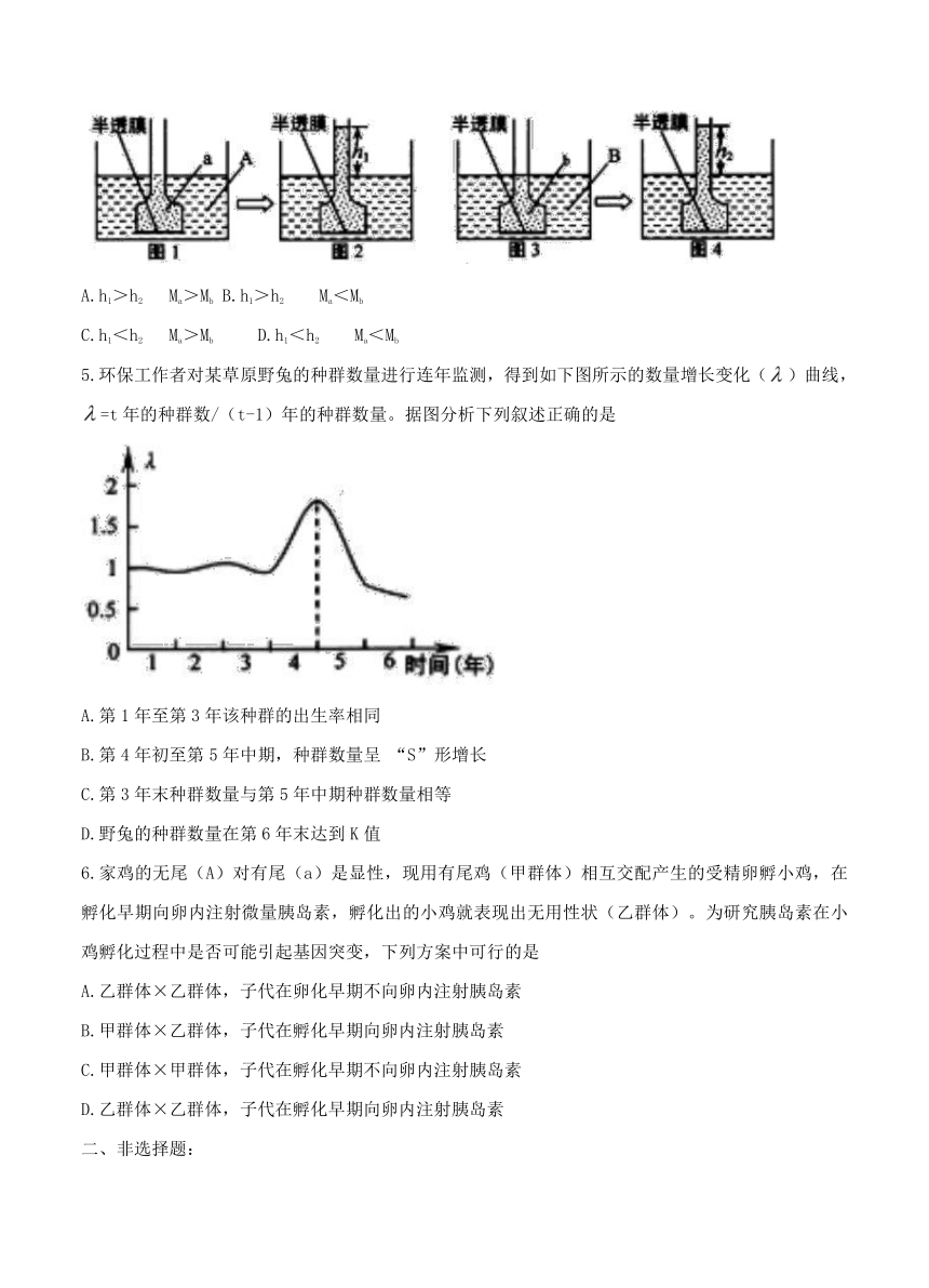 湖北省武昌区2017届高三5月调研考试 理综生物