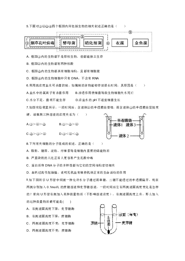 广东省揭阳市惠来县第一中学2019-2020学年高一上学期第二次阶段考试生物试题
