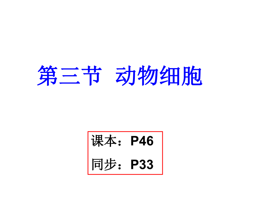 2.1.3动物细胞课件(共15张PPT)2021--2022学年人教版生物七年级上册