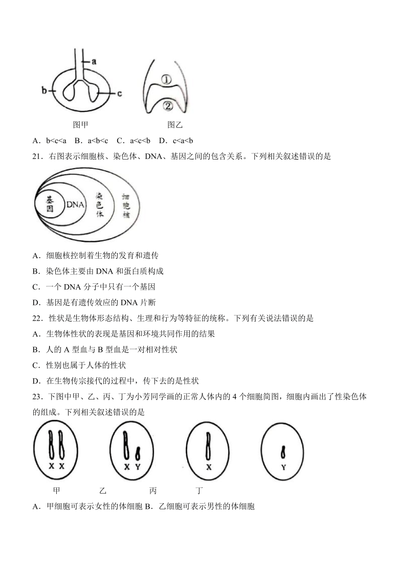 2021年湖南省邵阳市初中学业水平考试生物试题卷(Word版 无答案)