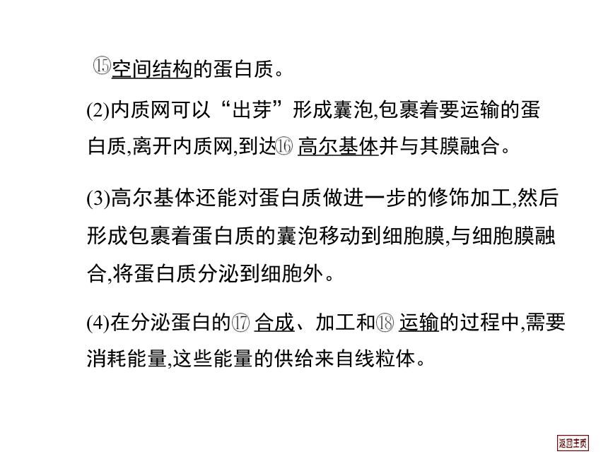 2014届高三生物一轮复习课件： 2.2 细胞器—系统内的分工合作