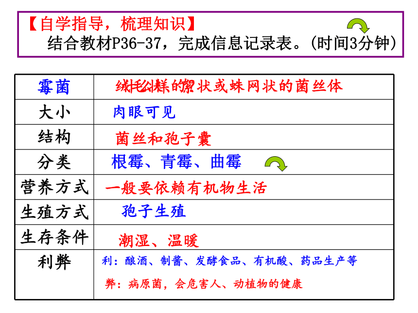 1.6 细菌和真菌的繁殖（2)