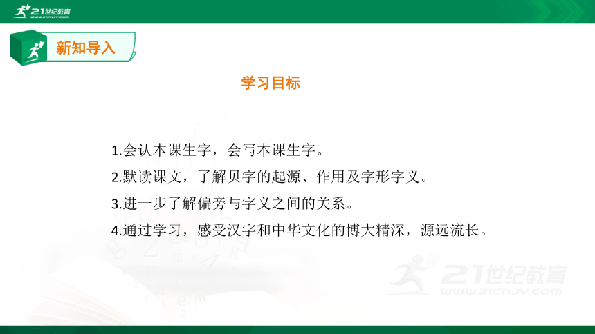 统编版二下3《“贝”的故事》课件