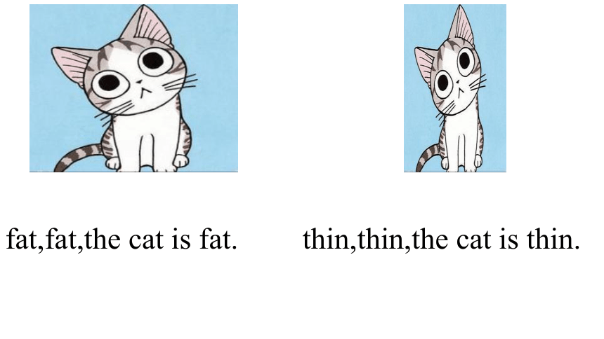 Lesson 14 Is the cat fat or thin? 课件